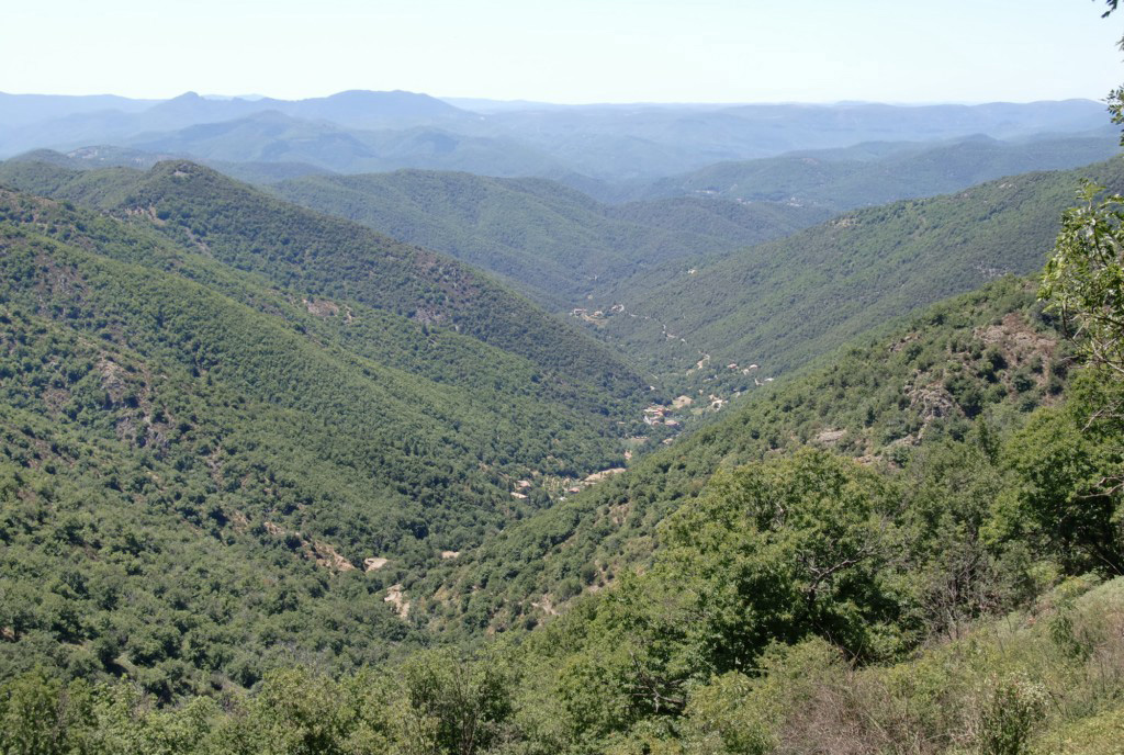 Mont Aigoual